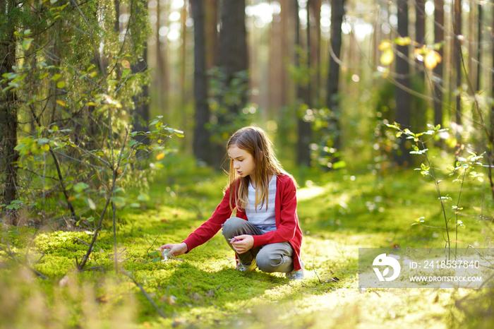 Cute young girl having fun during forest hike on beautiful summer day. Child exploring nature.