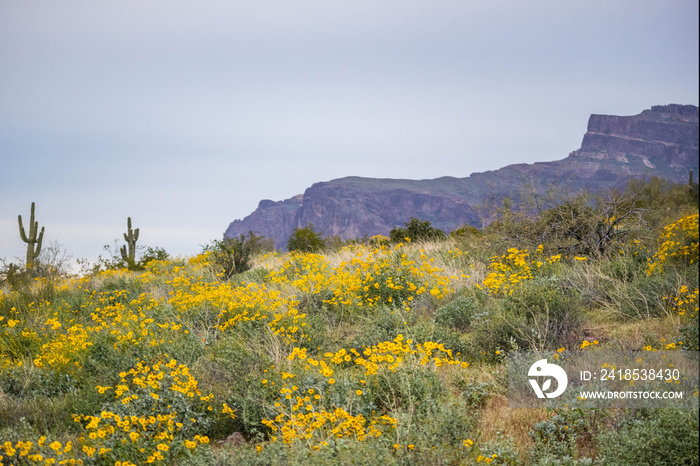 俯瞰亚利桑那州阿帕奇枢纽的自然景观