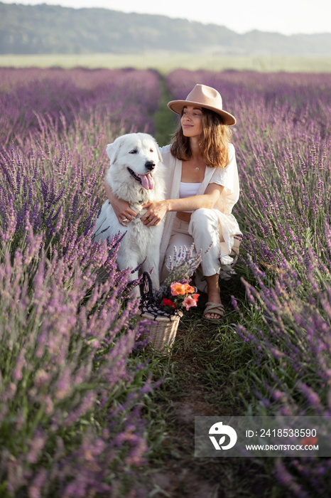 女人在盛开的薰衣草地上拥抱她的大狗，享受大自然的美丽。花时间t