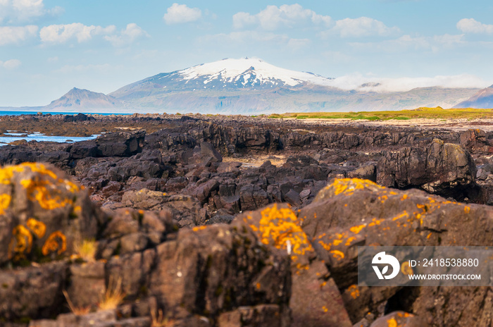 Beautiful volcanic rocks landscape in Iceland with mountain background of Snæfellsjökull glacier in 