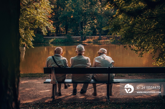 Retirement old male friends talking in park