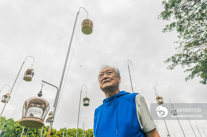 一位活跃的老年鸟类收藏家