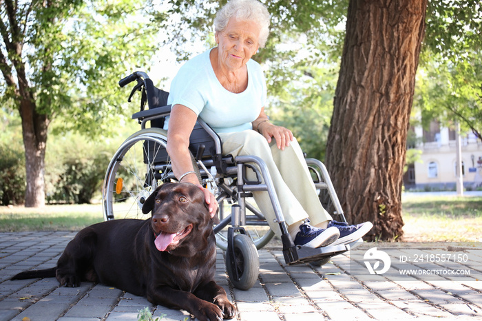 坐在轮椅上的老年妇女和她的狗在户外