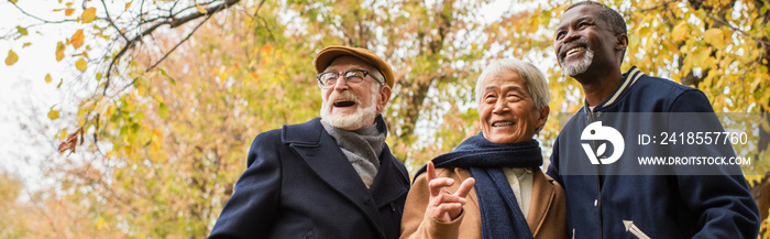 Low angle view of grey haired asian man pointing with finger near multiethnic friends in autumn park