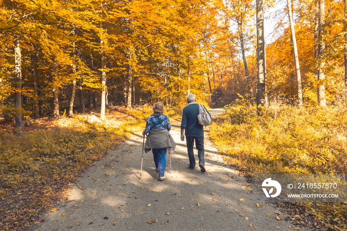 Two elderly people walking in the autumn forest