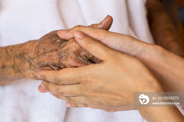 Hand of woman touching senior woman in clinic.