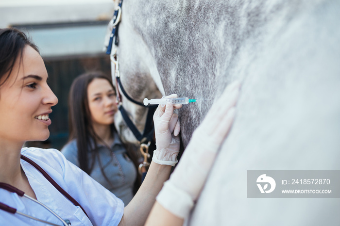 Vet giving injection to a horse. Selective focus on vets hand.