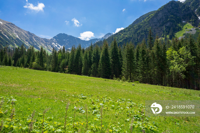 Slovak Western Tatras. Rohacska valley area.