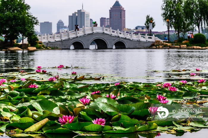 中国长春南湖公园景观