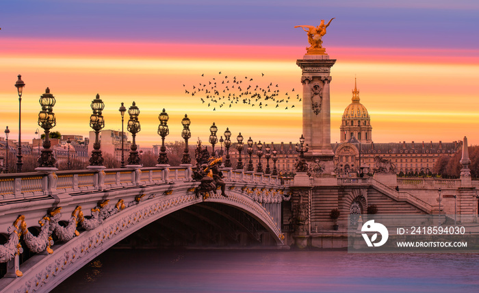 Alexandre III Bridge, Paris France