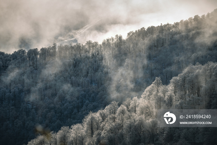 winter mountain landscape with frosty forest