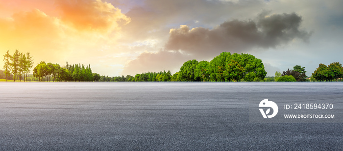 Empty race track and green woods nature landscape at sunset