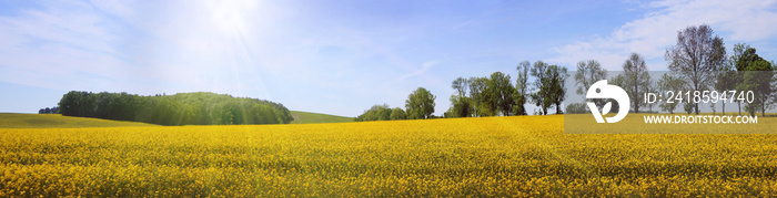 Frühsommerliche Sonne über weiter Landschaft, Panorama