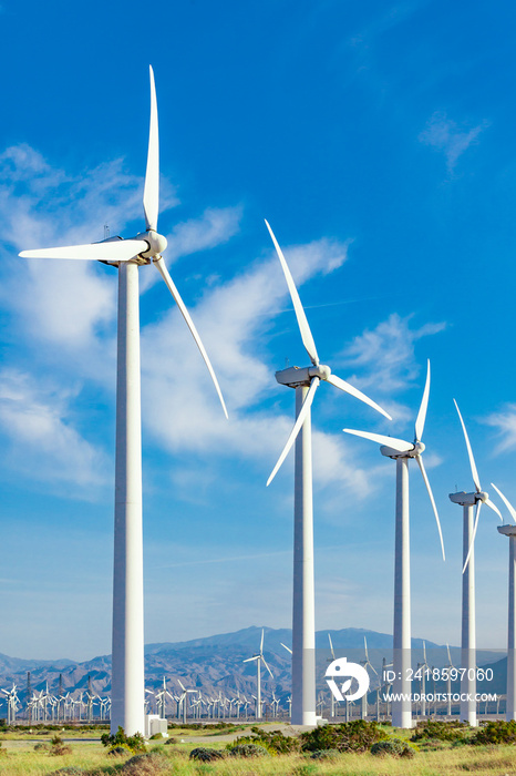 加利福尼亚沙漠中引人注目的风力发电场。