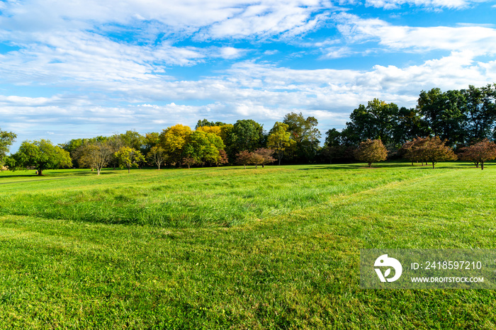 large grass area by a row of trees