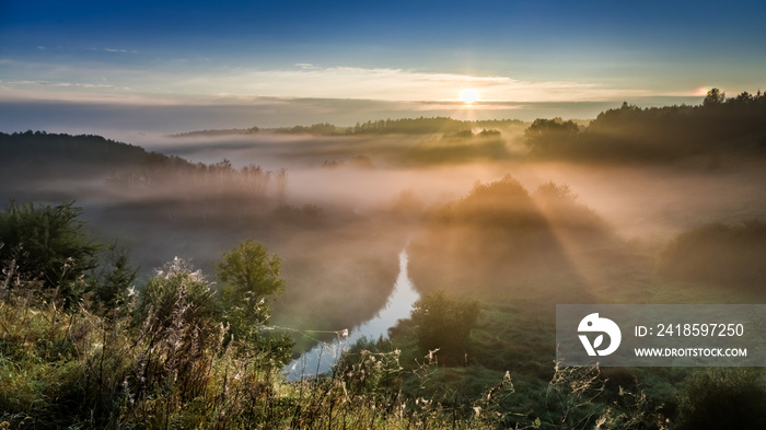 欧洲秋天雾蒙蒙的山谷里令人惊叹的日出