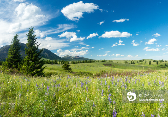 Prärie und Berge im Waterton Lakes Nationalpark, Alberta, Canada