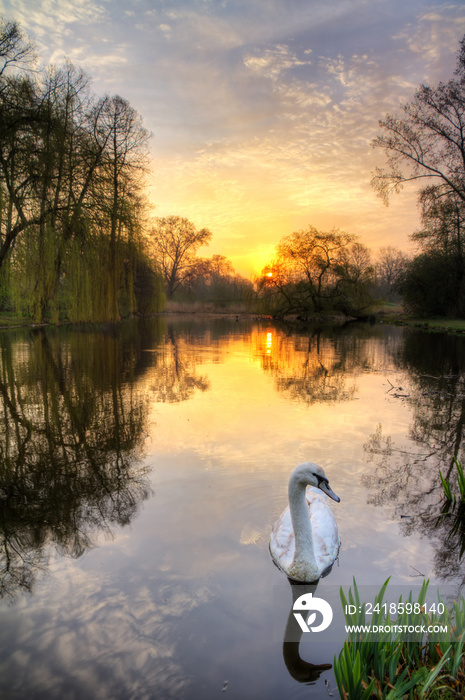 荷兰阿姆斯特丹冯德尔公园美丽的日出。HDR