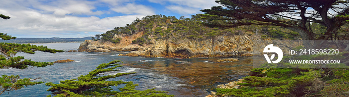 Point Lobos State park, California 