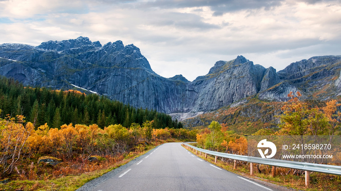 road in Norway, Lofoten Islands, golden autumn at the rocky wall of the mountains. 