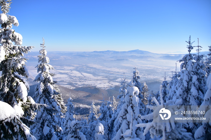 波兰别斯基迪山脉Skrzyczne峰，冬天，雪，