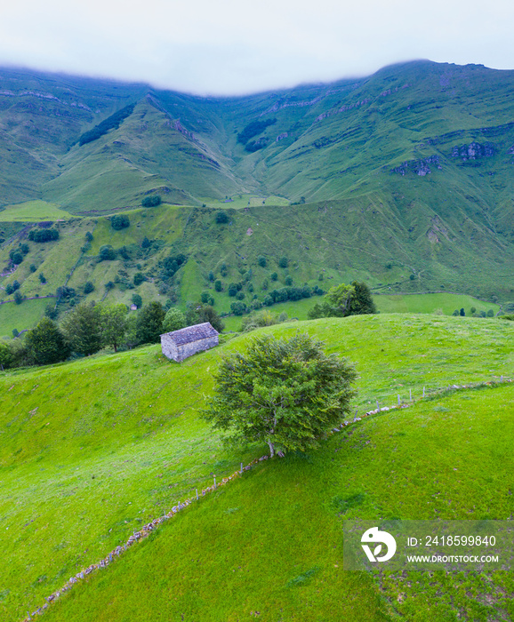 用无人机俯瞰Miera山谷的pasiegas小屋和草地的春季景观