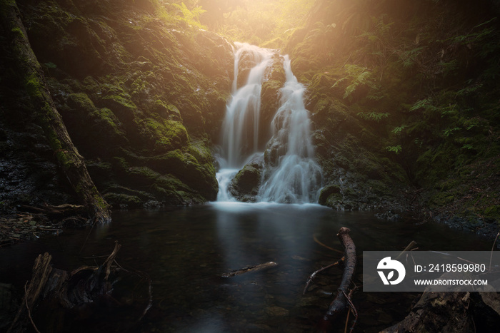 Beautiful and magical forest waterfall in the lush Pacific Northwest, North America