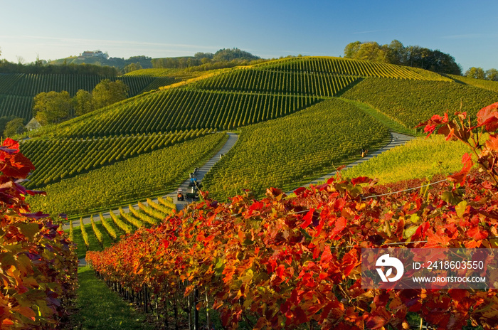 Durbacher Herbst