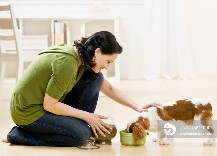 虔诚的女人跪着喂饥饿的宠物狗
