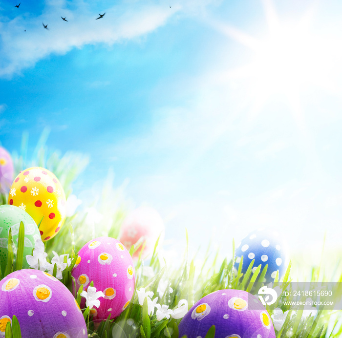 艺术复活节彩蛋用花朵装饰在草地上的蓝天