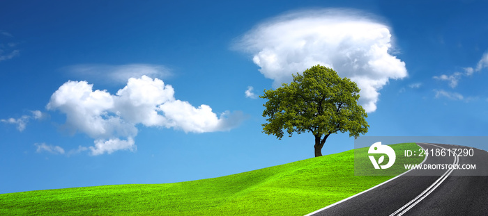 空旷的道路，全景