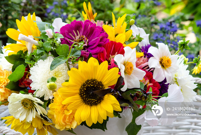 夏末的快乐、喜悦和礼物：向日葵、大丽花、紫菀和锦葵的彩色花束：）