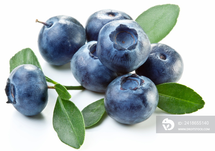 Blueberries with leaves