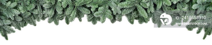 圣诞节的宽阔边界：新鲜的冷杉树枝，有霜冻的外观，被白色隔离