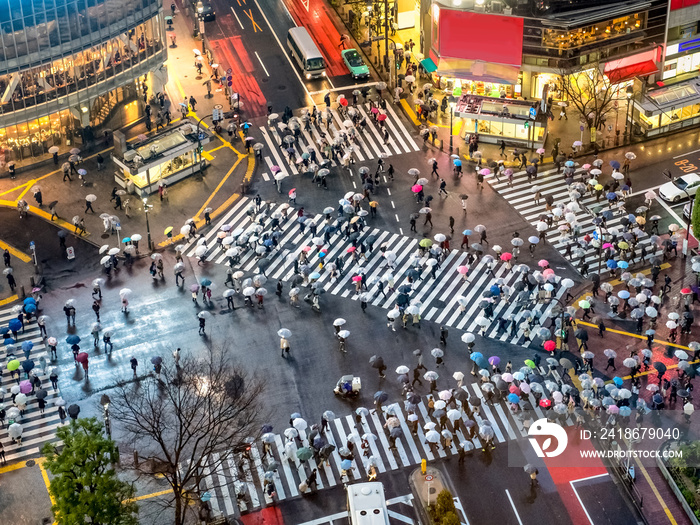 日本东京涩谷十字路口