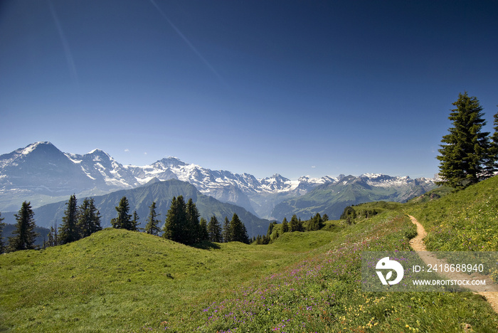 Eiger, Mönch & Jungfrau von der Schynige Platte