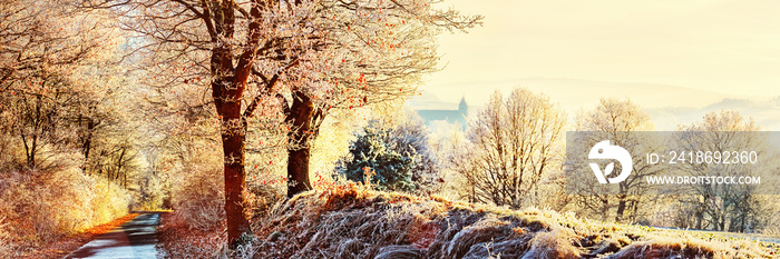 Winter Landscape Panorama, Germany