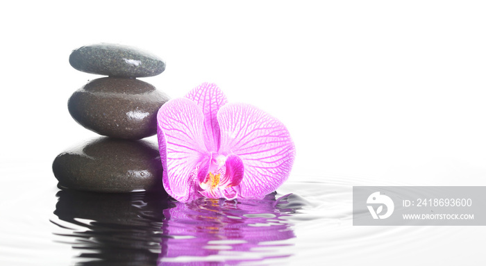 Flower and stones in water