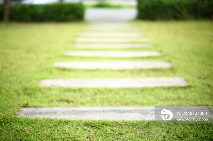 pathway pavement step on green grass front yard garden