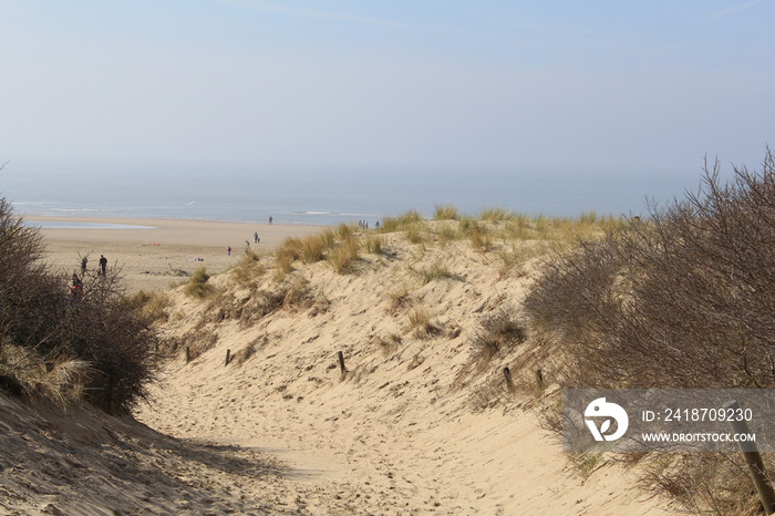 large sand dunes with grass in holland with the sea in the background
