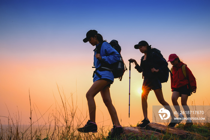 Young asian people hiking in the forest during summer at sunset,travel,tourism and teamwork concept