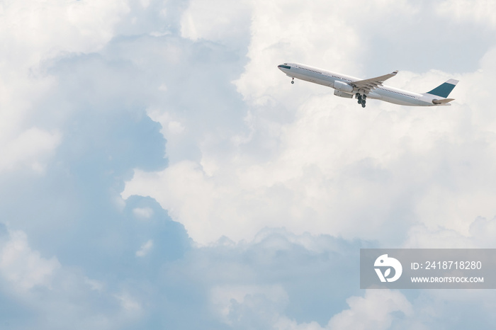 商用飞机飞越明亮的蓝天和白云。优雅的设计和复制空间
1800656444,石板和黑色背景上新鲜猕猴桃的创意图片