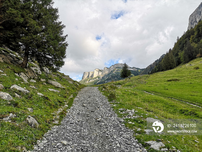 Kiesweg im Grünen