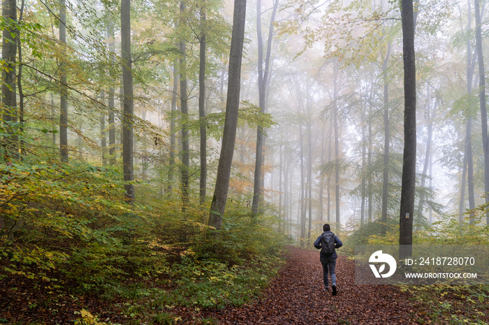 Hegau am Bodensee im Herbst und Nebel