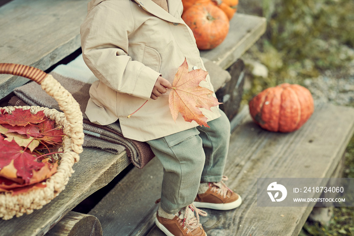 little girl playing with autumn leaves. dressed in warm autumn clothes.