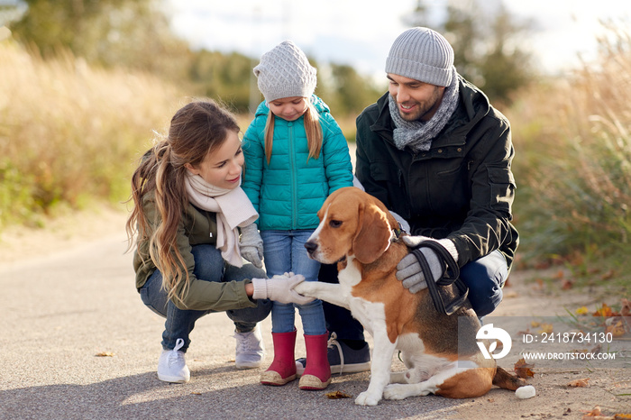 family, pets and people concept - happy mother, father and little daughter with beagle dog outdoors 