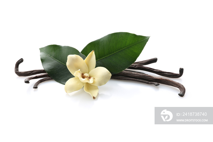 Aromatic vanilla sticks on white background