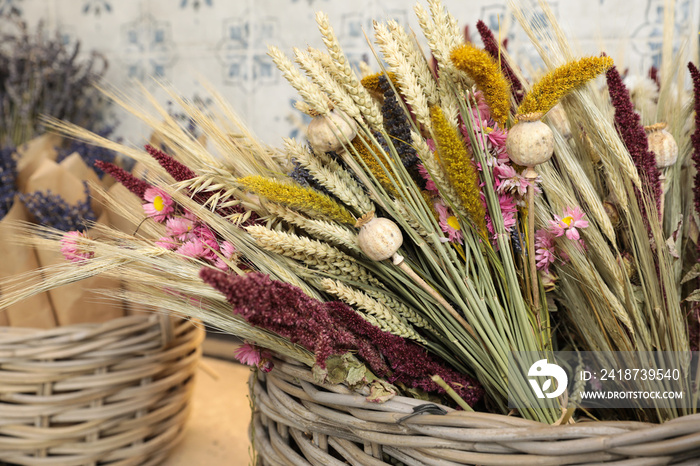 一束束美丽的干花植物——菊花、薰衣草、罂粟、小麦小穗