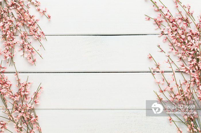 Spring greeting card, living coral color flowers on the pastel background.