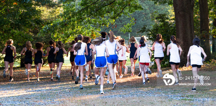 Rear view of start of high school girls cross country race